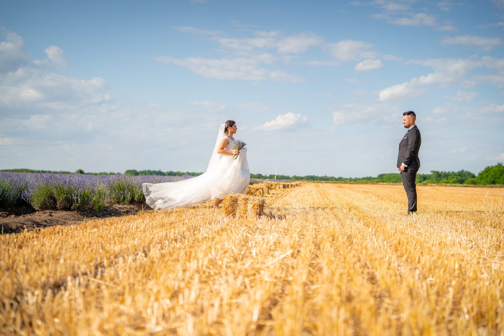 Alexandru Laurentiu Cristian portofoliu 2