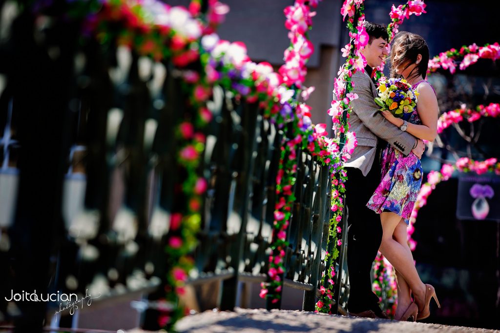 Joita Lucian portofoliu 1